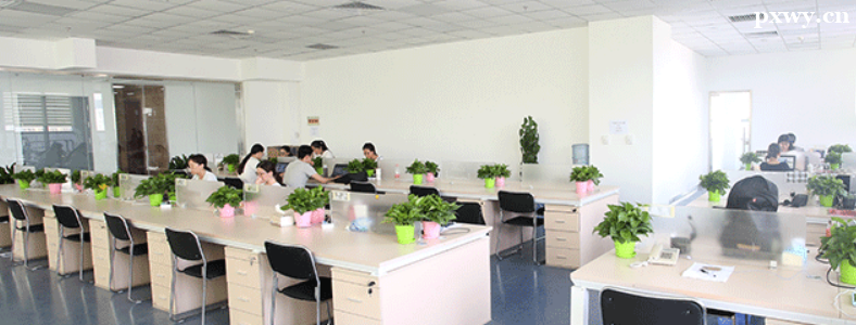 ʯ��ׯ����Щ�������ѵ����