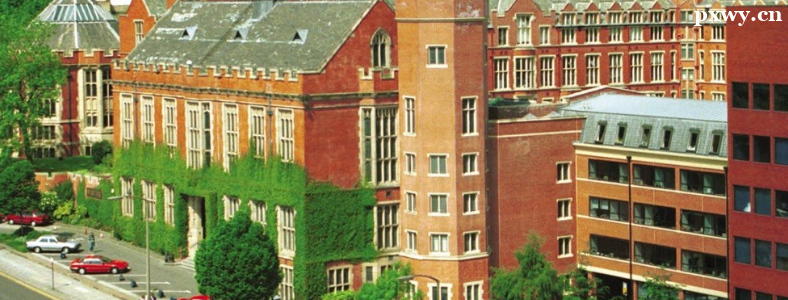 Ӣ������ѧ��ѧ������ʲô