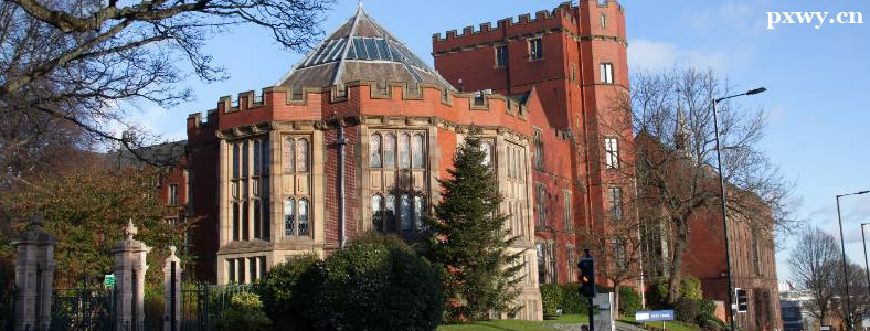 Ӣ������ѧ��ѧ������ʲô