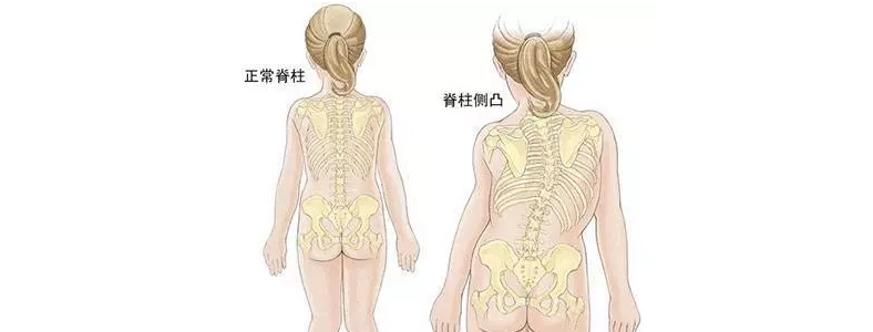 �������β�����ʲôԭ����ɵ�