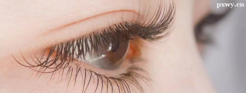 ����������ѵ�γ�