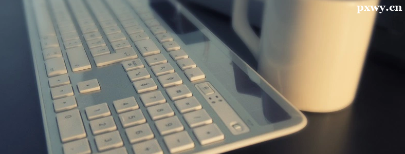 ����������ѵ�ĸ���������ôѡ��