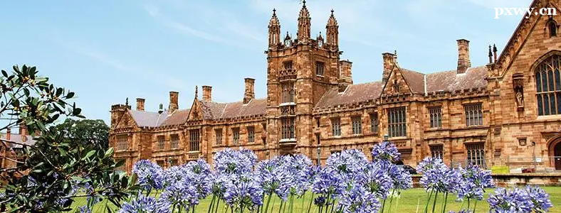 2024�������ѧ���Գɼ�Ҫ�����