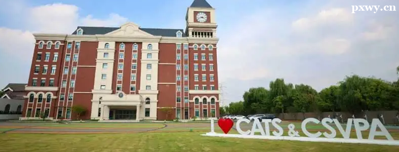 �����������о�����ѧ����������ʲô