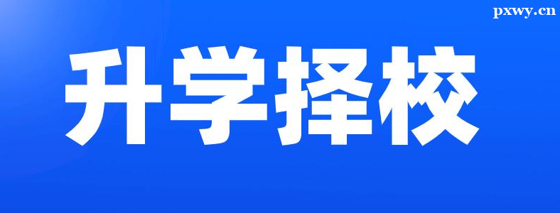 小升初择校如何选择学校