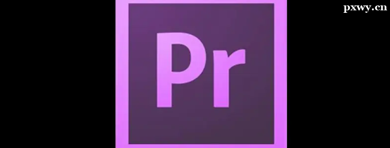 ֻ��Pr��ӦƸ����ʦ��