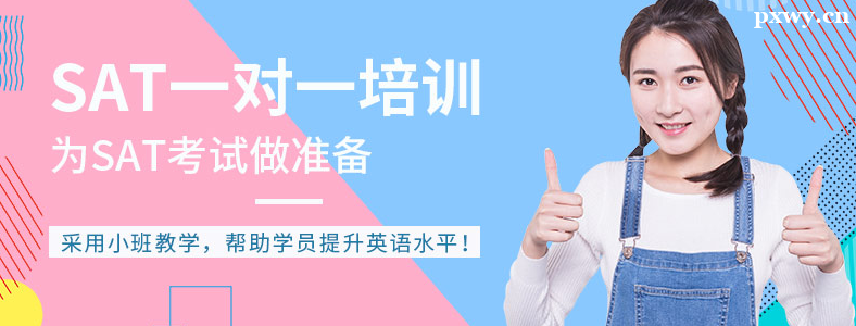 ����SAT��ѵ��