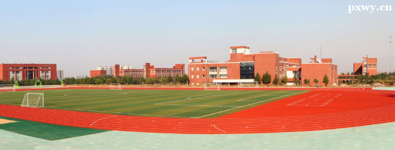 ʯ��ׯ�׶�ʦ���ߵ�ר��ѧУ2024�굥���������ܴ������������˵��