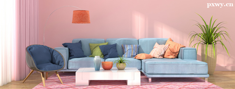 �ƹ��������Ƶ�������ʲô