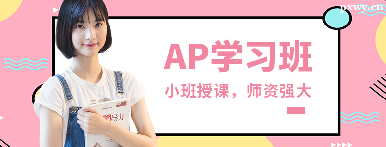 ����������ѧAP�γ�