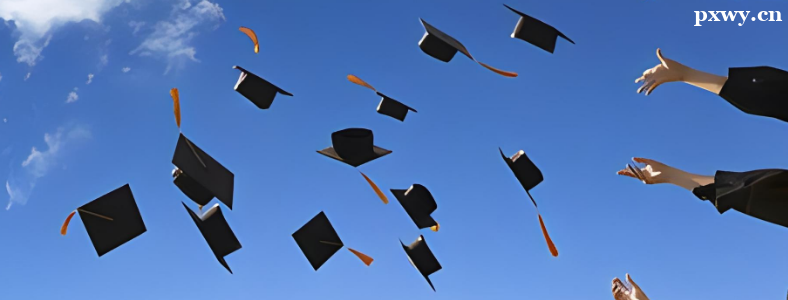 ί���о�����ȫ���Ƶ���