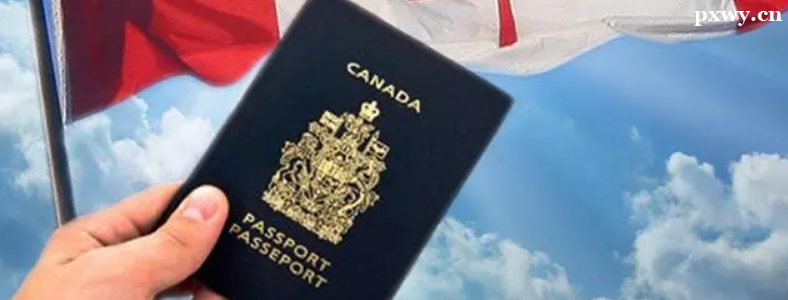 ���ô���ѧǩ֤�����Ѳ���