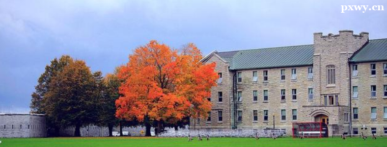 ��������ô�˶ʿ��ô����