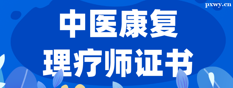 ��ҽ��������ʦ֤�鿼��������