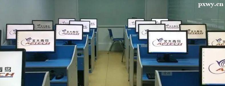 ����ITְҵ������ѵ�����ļҺ�