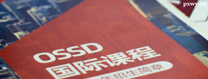 ���OSSD�γ���ѵ����