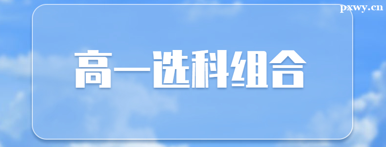 �¸߿��е���ѡʲô��ϸ�����