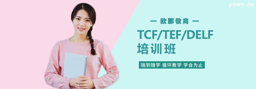 TCF/TEF/DELFѵγ