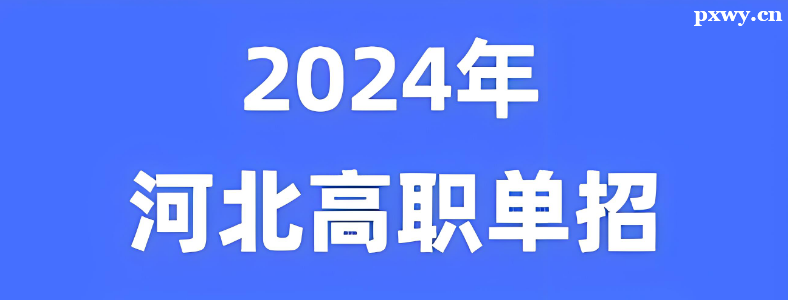 2024��ӱ����п�������������