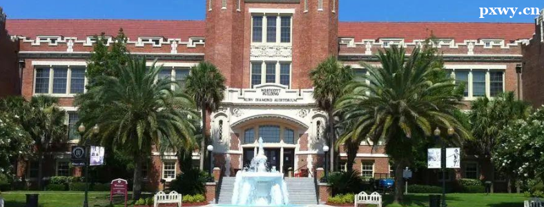 ������ѧED2������ʲô��˼