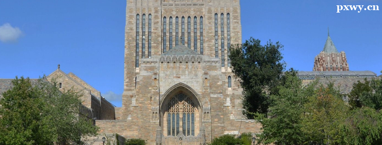 �����ѽ��Ĵ�ѧ����Щ