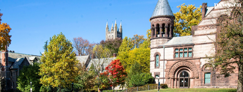 �����ѽ��Ĵ�ѧ����Щ