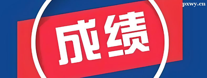 ���г��Գɼ���������������