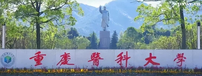 �ٴ��������׵�ҽѧԺУ