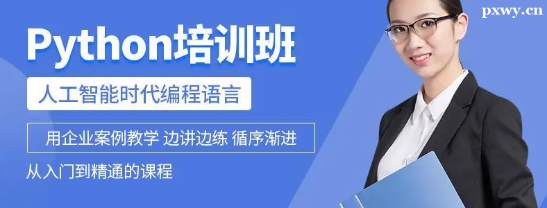 Python��ѵ��ѡ��ע������