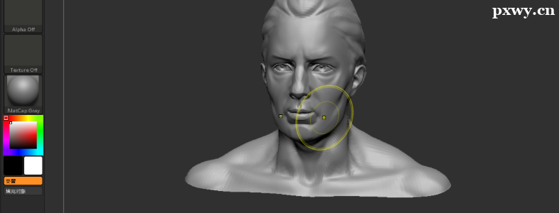 ѧ��ZBrush����ʲô����
