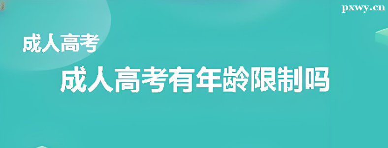 �ӱ��ɿ�����������������