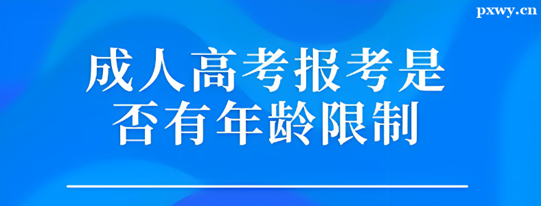 �ӱ��ɿ�����������������