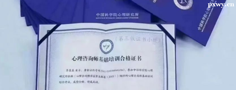 ������ѯʦ֤����ô��ȡ����