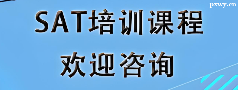 ����SAT��ѵ�����ļҺ�