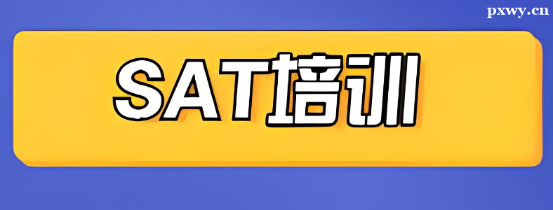 ���SAT��ѵ�������ѡ��