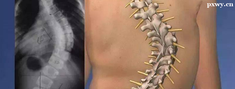 ������͹������ô����Ч����