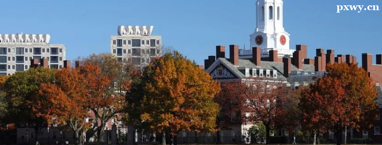 ������ѧ�Լ۱ȸߵĹ���