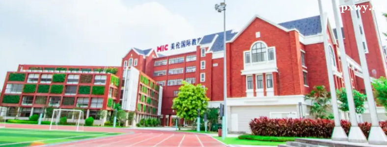 ��ɽ���ʸ�������ЩѧУ��AP�γ�