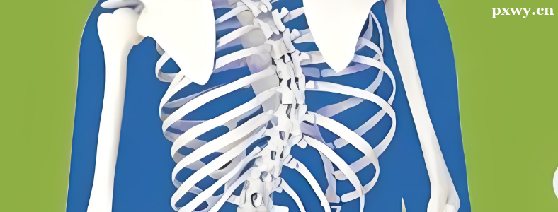 ���������Ǽ���������