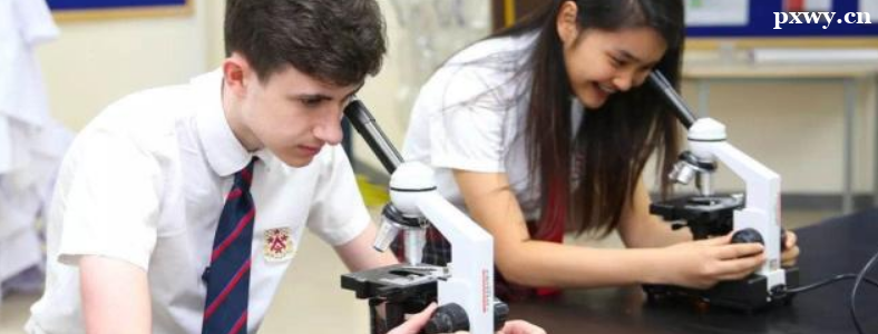 ����ѧУΪʲô��ô��