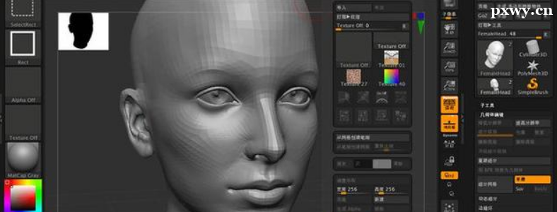 ZBrush�����ѧ��