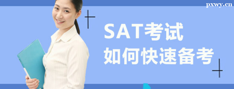SAT������α���