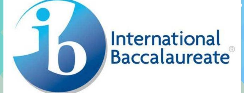 IB�γ���ϵ����