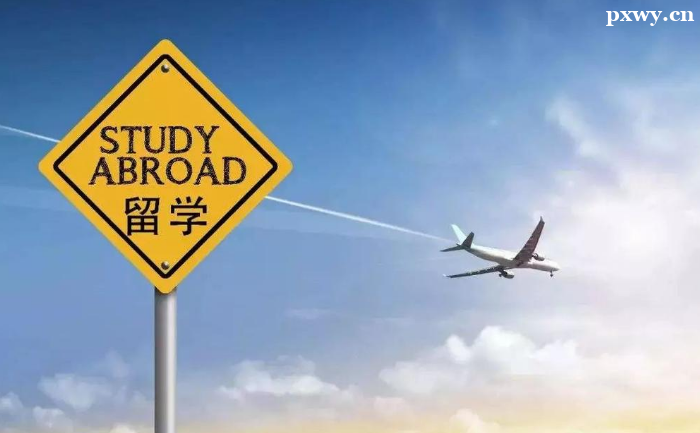 ������ѧ���ѡ����ѧ����