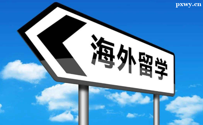 ������ѧ���ѡ����ѧ����