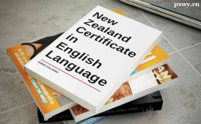 ��˼������ѵ�����ļҺ�