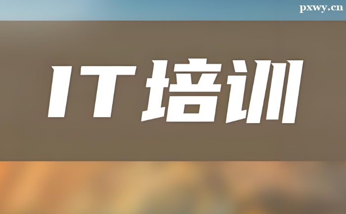 IT��ѵ������Ҫ����Ǯ