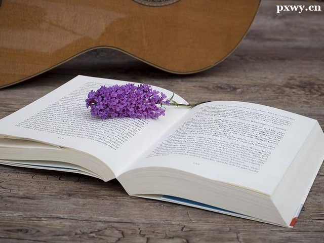 �ӱ��ɿ�ѧλ֤������������ʲô