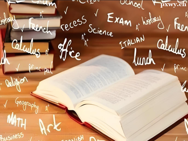 ��˼6���Ѳ��ѿ�