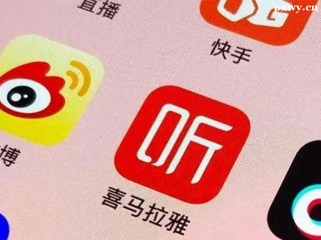 ��ý��ȫ����Ӫ��ʲô����